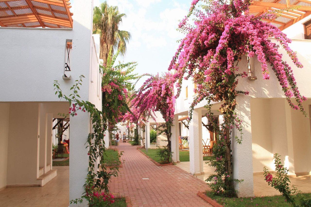 Club Kastalia Holiday Village Konaklı Buitenkant foto